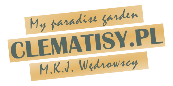 clematisy_logo
